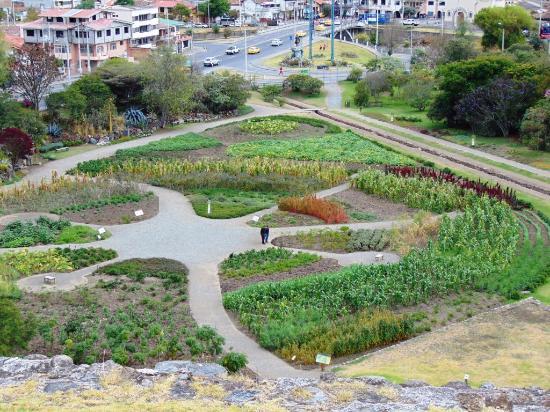 Pumapungo Museum and Arqueological Park